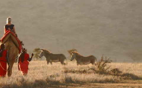 3 Days masai mara game reserve safari tour will take you to Maasai Mara which is situated in south-west Kenya, approximately 280kms from Nairobi City and is one of Africa’s Greatest Wildlife Reserves