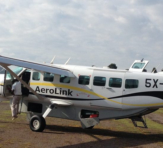 Fly in 3 days luxury Gorilla trekking Safari, a special Jet in flying safari, designed to suit our other Business Class of tourists who can’t stand the long drives to and from Bwindi Impenetrable national park yet want to Track the Endangered Gorillas