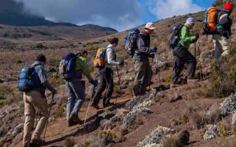 9 Days Kilimanjaro Summit Climbing Lemosho Route is an Adventurous tour, featuring Tanzania Mountain Climbing. Lemosho is considered the most beautiful route on Kilimanjaro