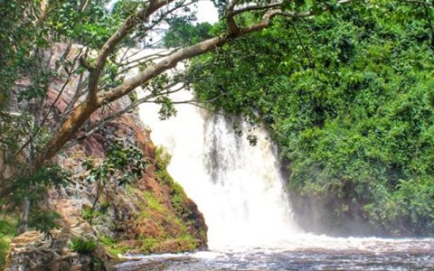 1 day Visit to Ssezibwa Falls, Mabira Forest & The Source of the Nile wakeup early morning have breakfast and transfer to Jinja, on the way you will have a stopover at the mighty Ssezibwa falls