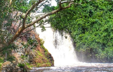 1 day Visit to Ssezibwa Falls, Mabira Forest & The Source of the Nile wakeup early morning have breakfast and transfer to Jinja, on the way you will have a stopover at the mighty Ssezibwa falls