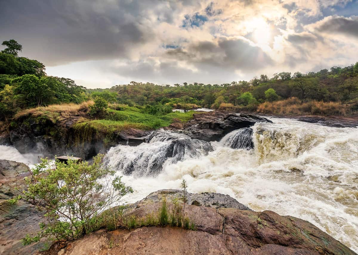 Murchison Falls National Park uganda is positioned where the massive Bunyoro escarpment amalgamate into the enormous plains of Acholi land is the largest Park in Uganda