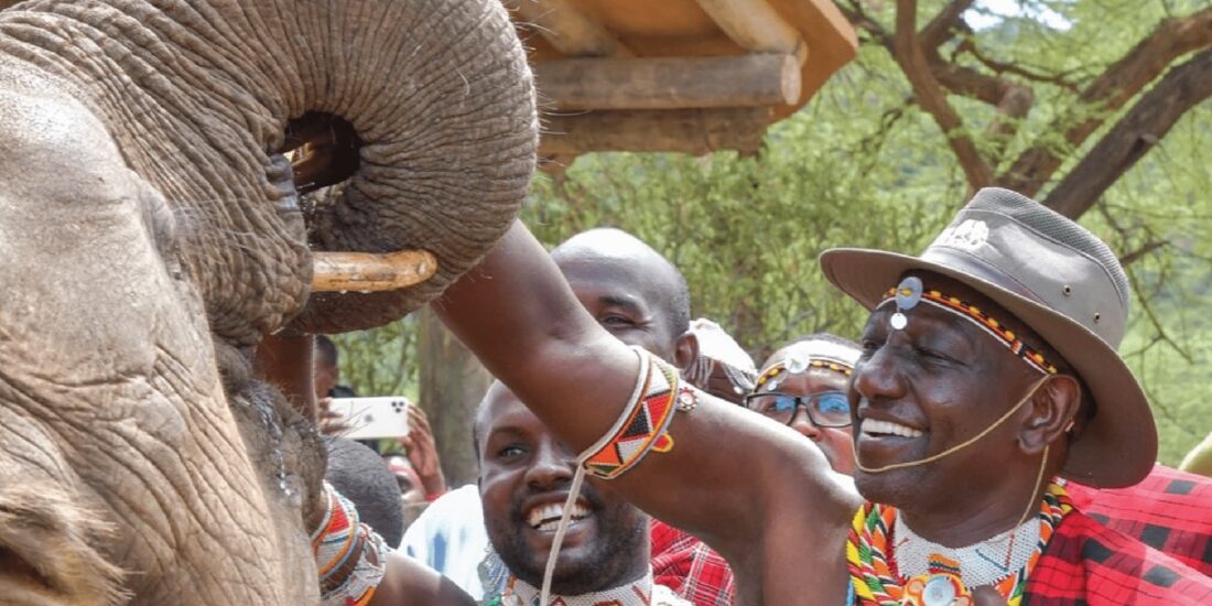 Tembo Elephant Naming Festival & World Elephant Day in Amboseli Kenya