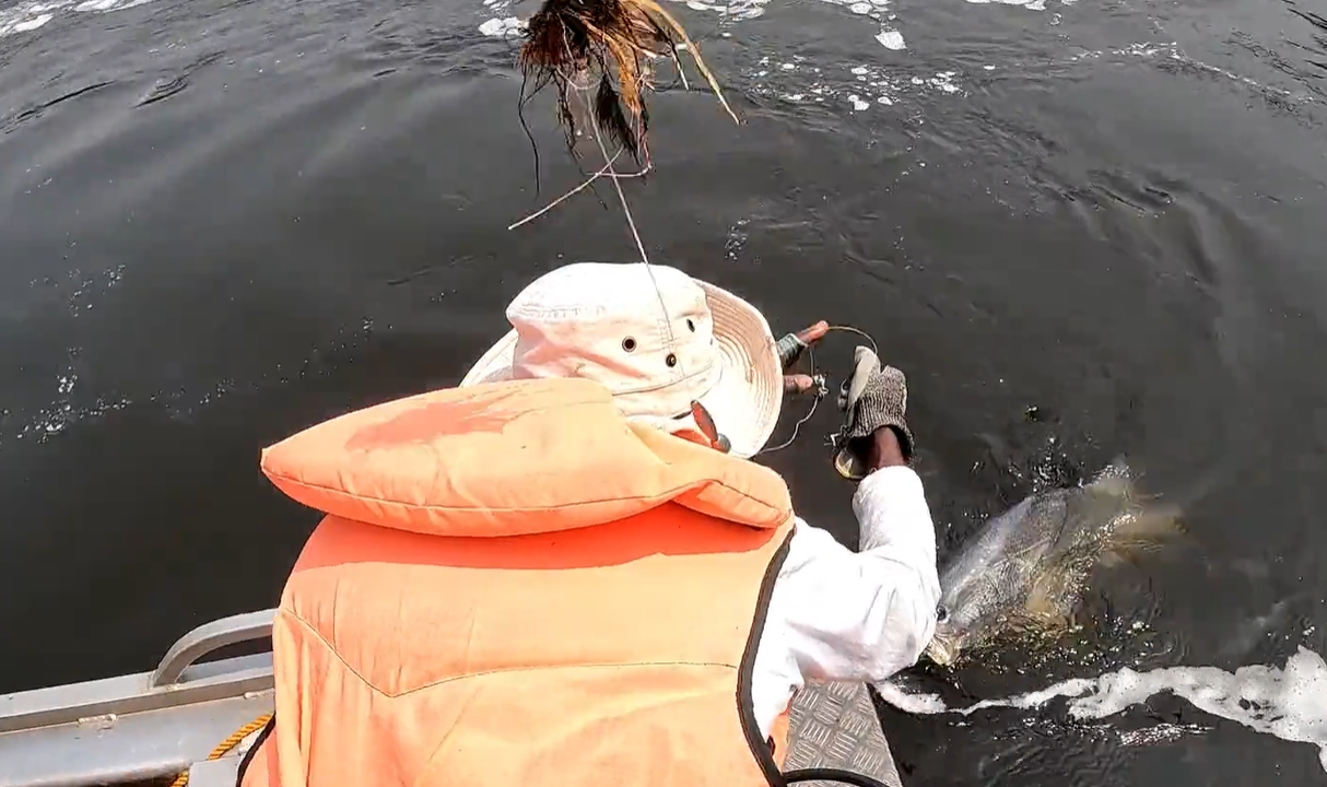 Sport Fishing in Uganda Huge Catch in the Most dramatic Waters of Murchison Falls National Park Bottom of the falls A Sport Fishing Destinations Uganda