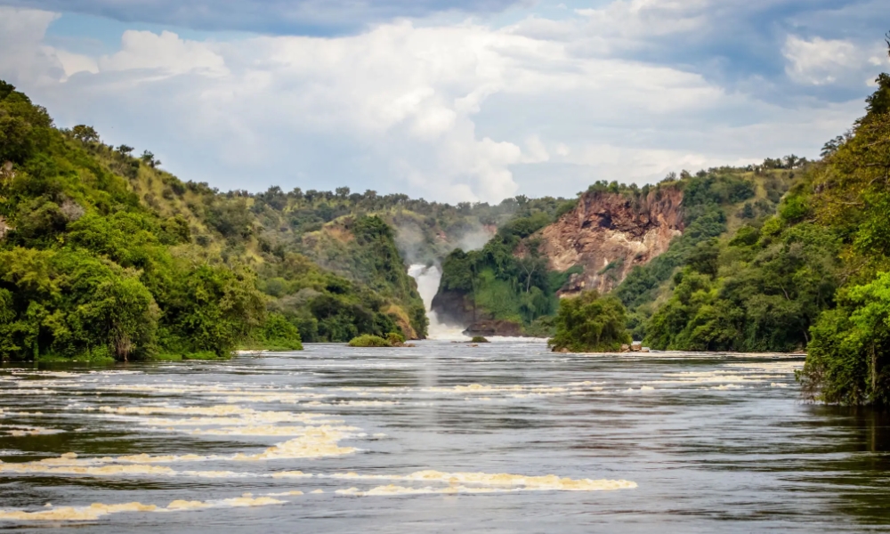 Getting from Kampala to Murchison Falls National Park Distance Routes & Travel Options