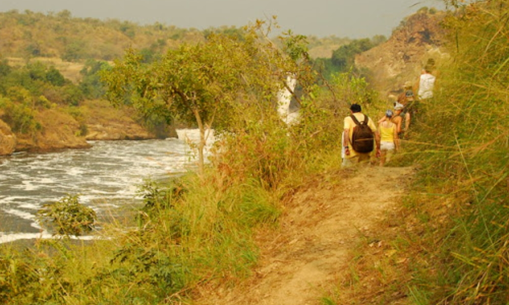 Hiking to the top of the falls Murchison Falls National Park  Hiking to the top of the falls Murchison Falls National Park