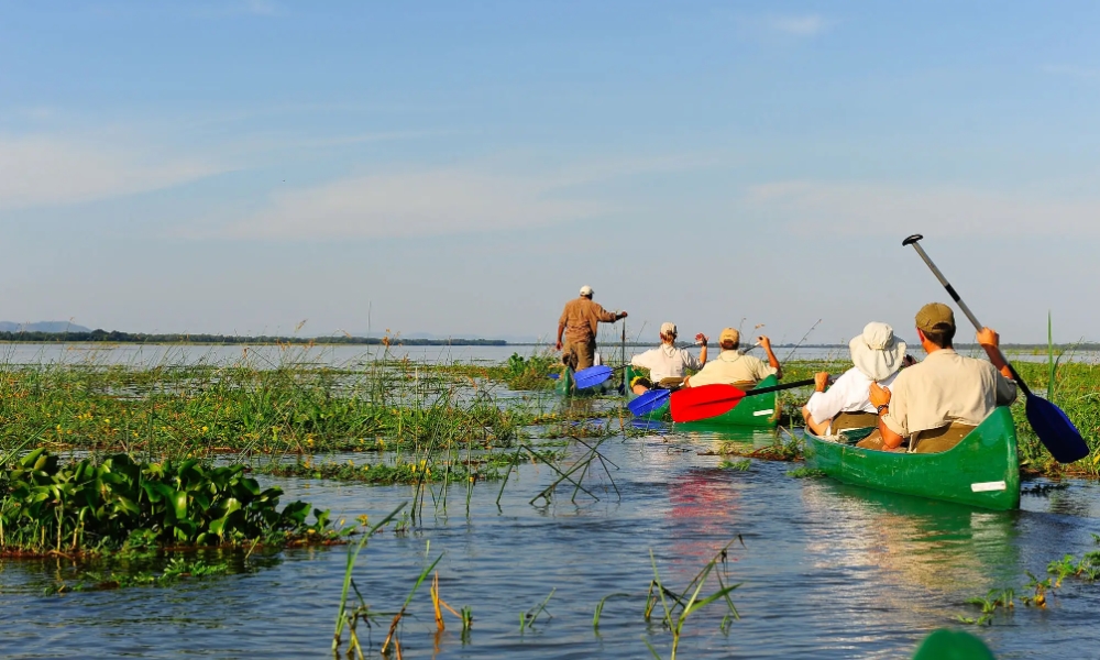 Lake Albert Delta Murchison Falls National Park Wildlife Safari Activities