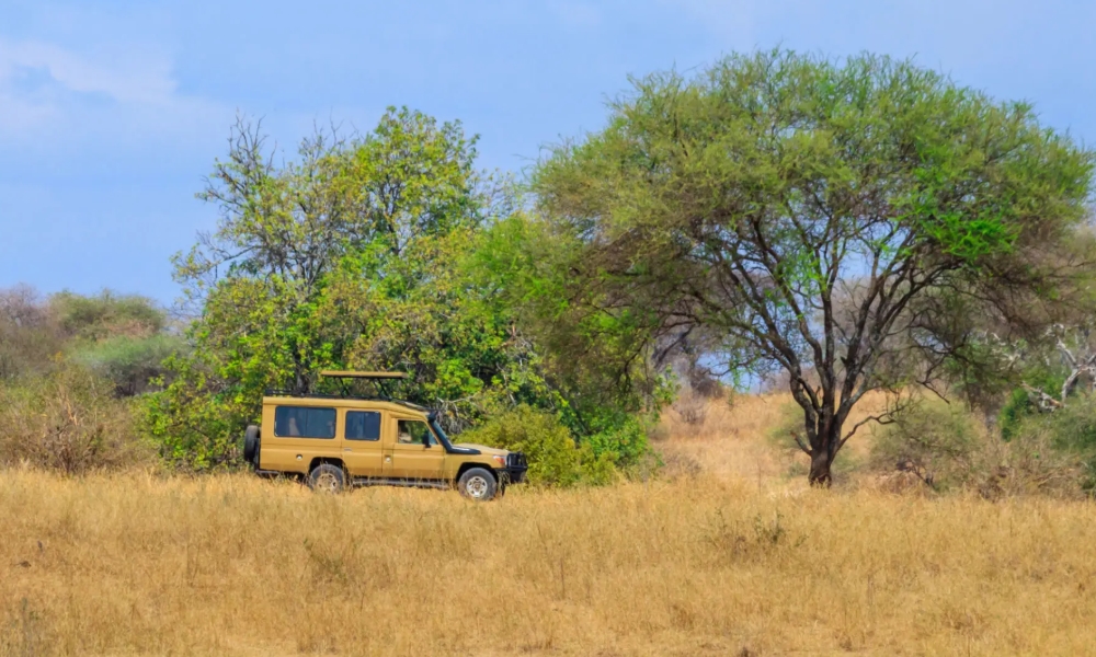 Murchison Falls National Park game drives Murchison Falls National Park game drives