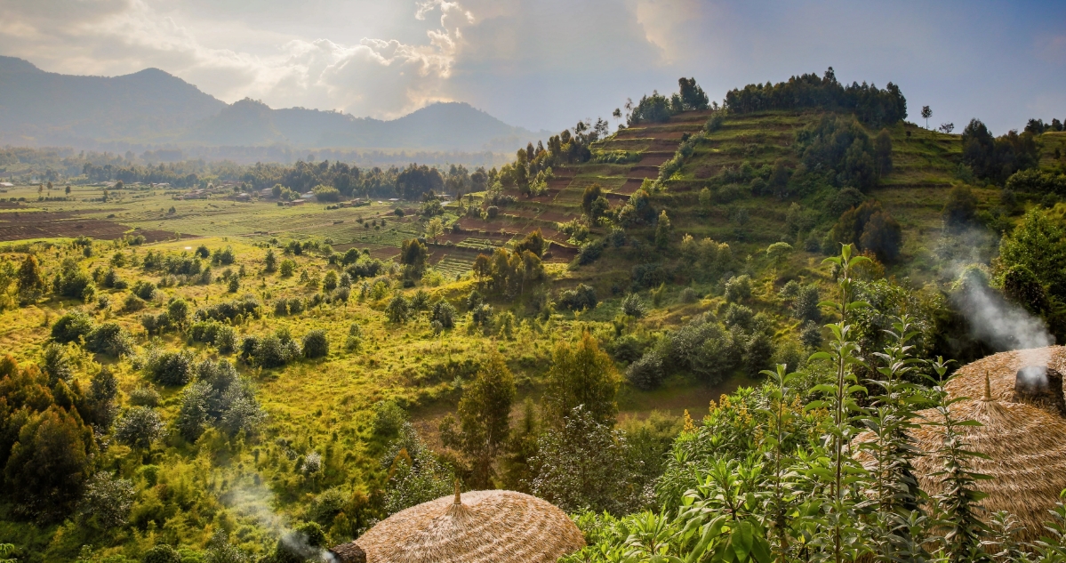 Attractions and Activities in Rwandas Ruhengeri Region Kinigi Town