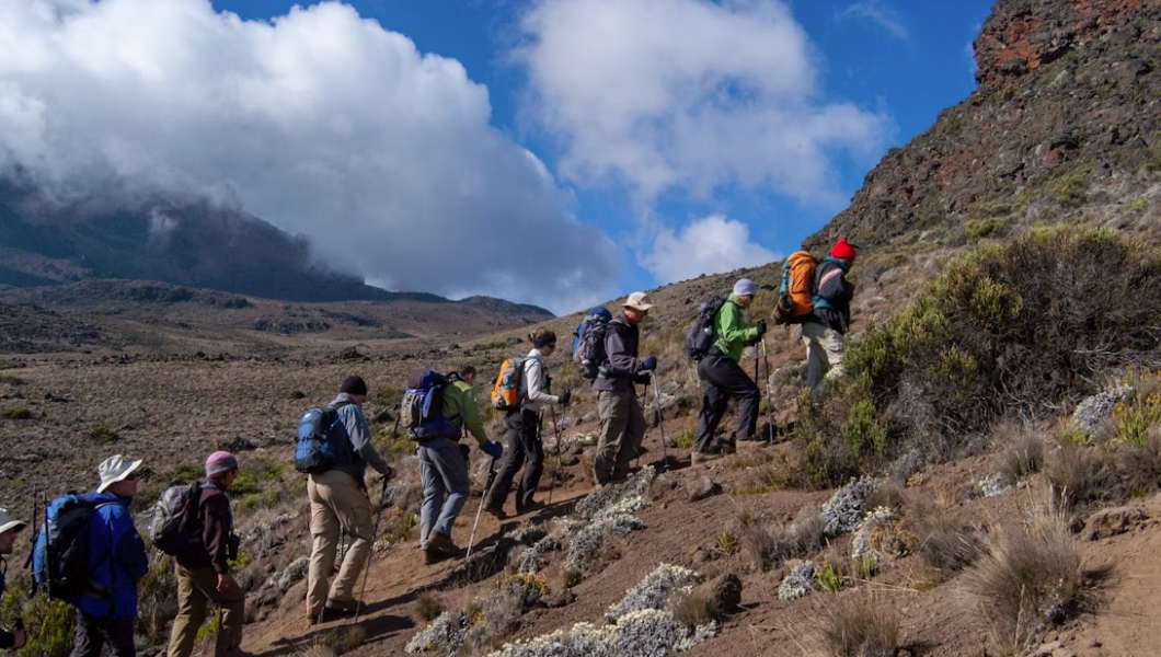 Exploring Kilimanjaro National Park & Its Park Entrance Fees