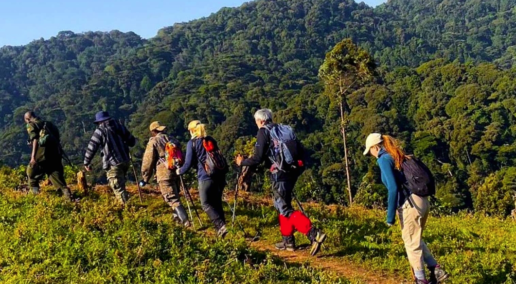 Nature Walking Safari in Nkuringo Bwindi Forest National Park