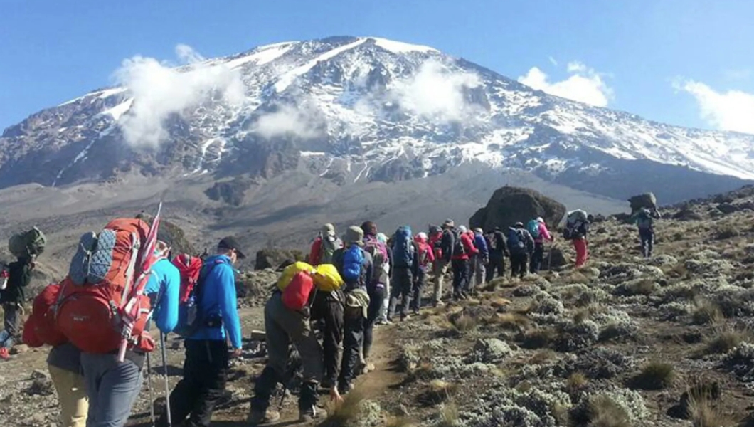 Start Your Mount Kilimanjaro Hiking Adventure