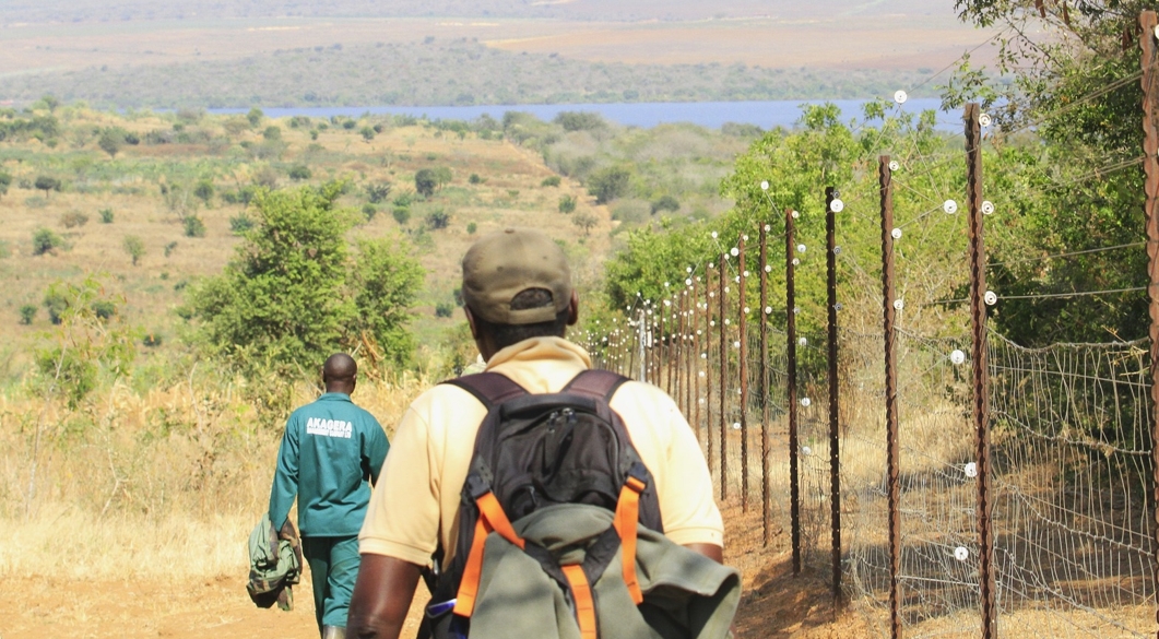 The Walk the Nile Experience in Rwanda Akagera National Park