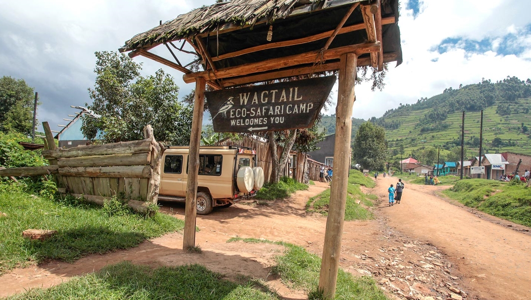 Wagtail Safari Lodge Perfect Lodge In Bwindi Forest National Park