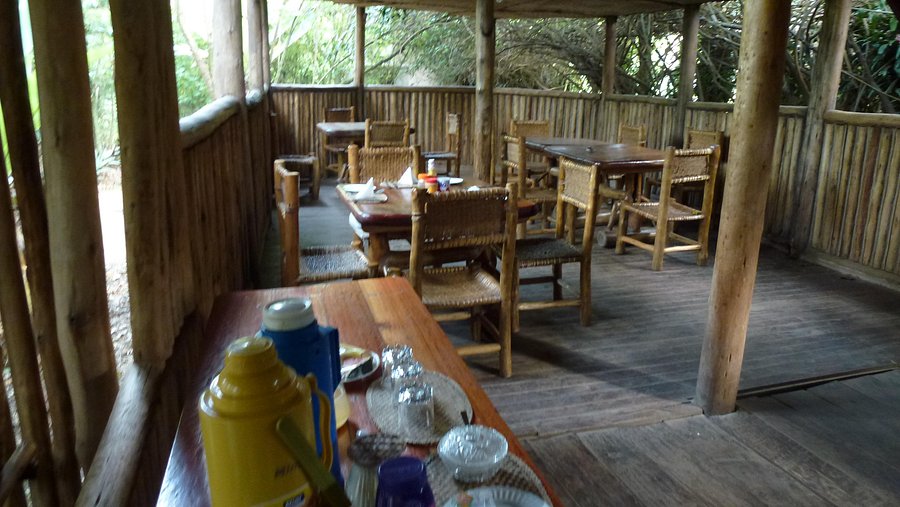 Wagtail Safari Lodge Perfect Lodge In Bwindi Forest National Park Wagtail Safari Lodge Perfect Lodge In Bwindi Forest National Park