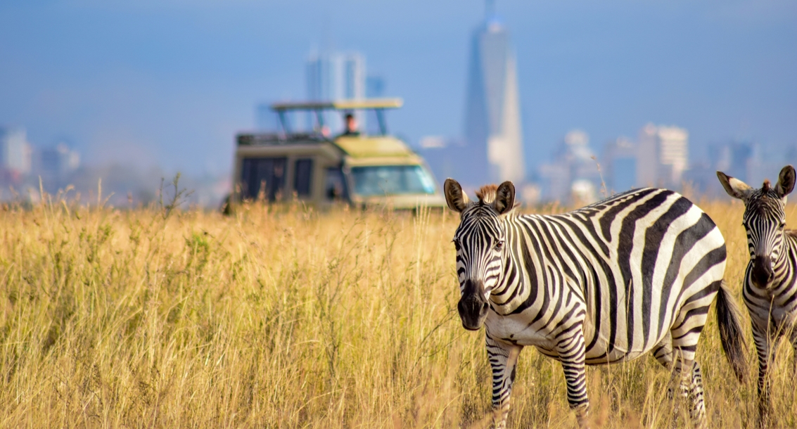 What to Know Before Visiting Kenya Safety Culture & Travel Tips