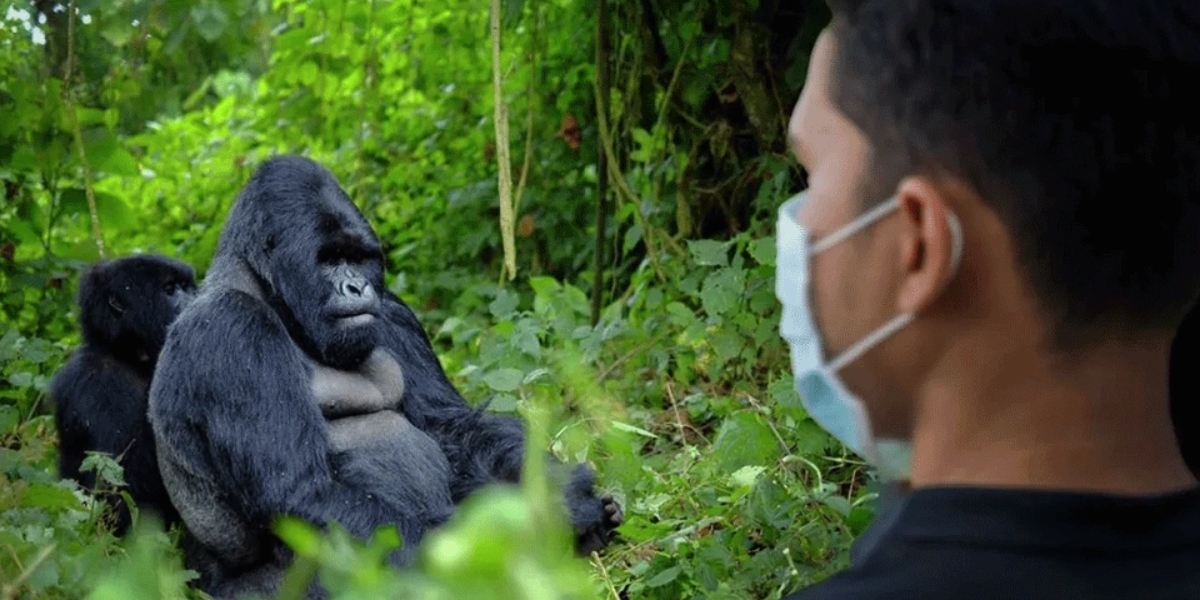 General Gorilla Trekking Rules for Trekkers