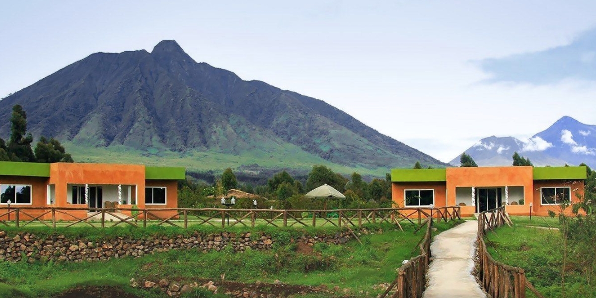 Mountain Gorilla View Lodge in virunga national park