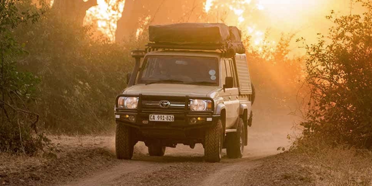 self driving Cutting Costs for Gorilla Safari